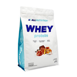 Protéines de lactosérum ALLNUTRITION (2 270 g)