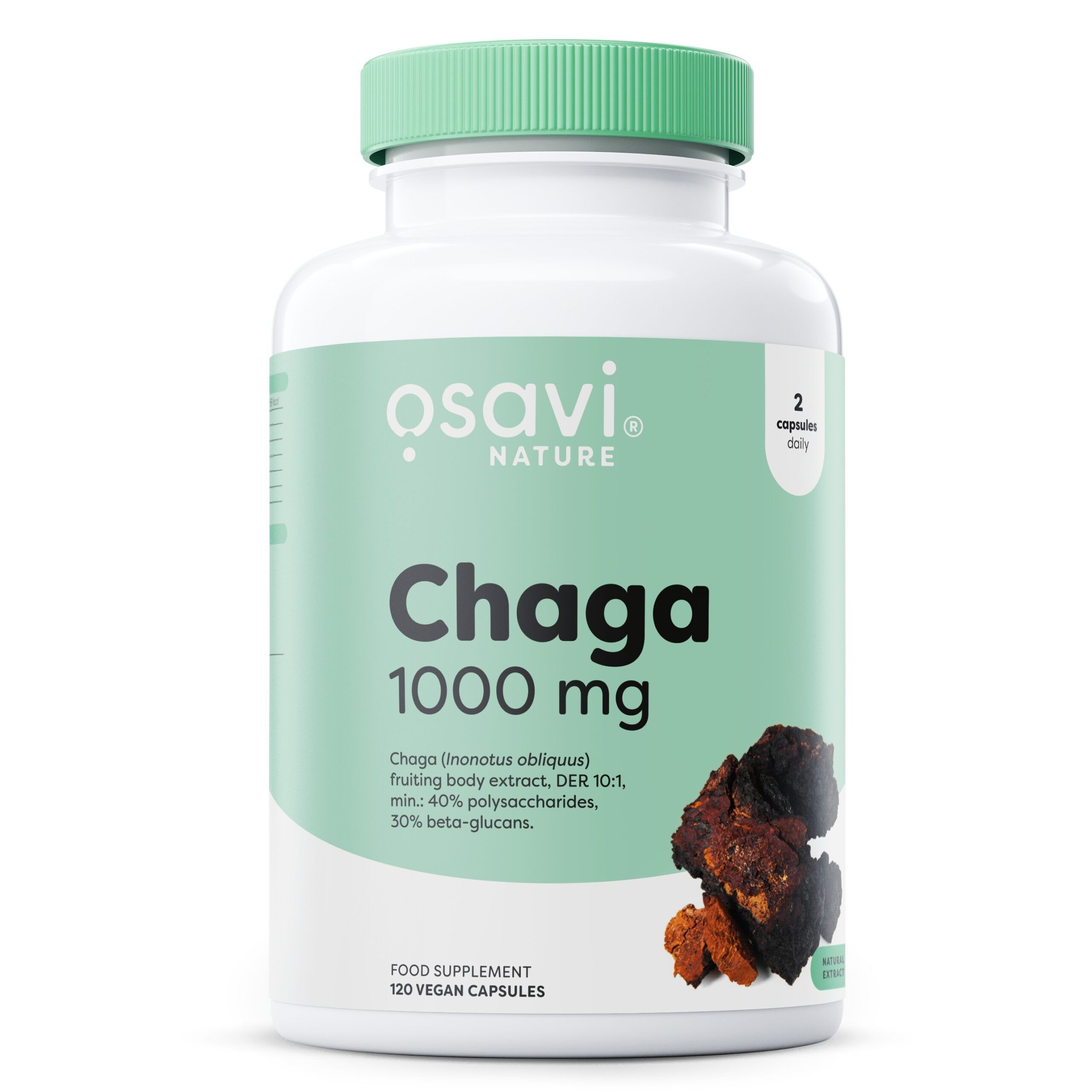Chaga