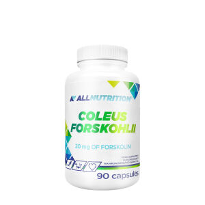 Coleus Forskohlii - 90 gélules - Viking Supplements