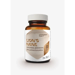 HEPATICA Lion's Mane (60 gélules) - Viking Supplements