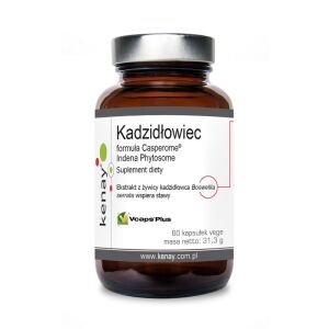 KENAY Boswellis Casperome Indena Phytosome - extract (60 caps) - Viking Supplements