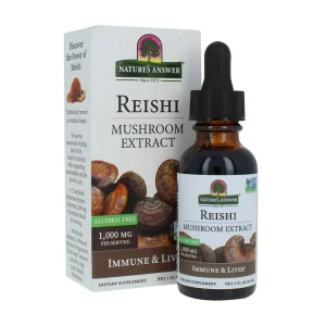 Extrait de champignon reishi