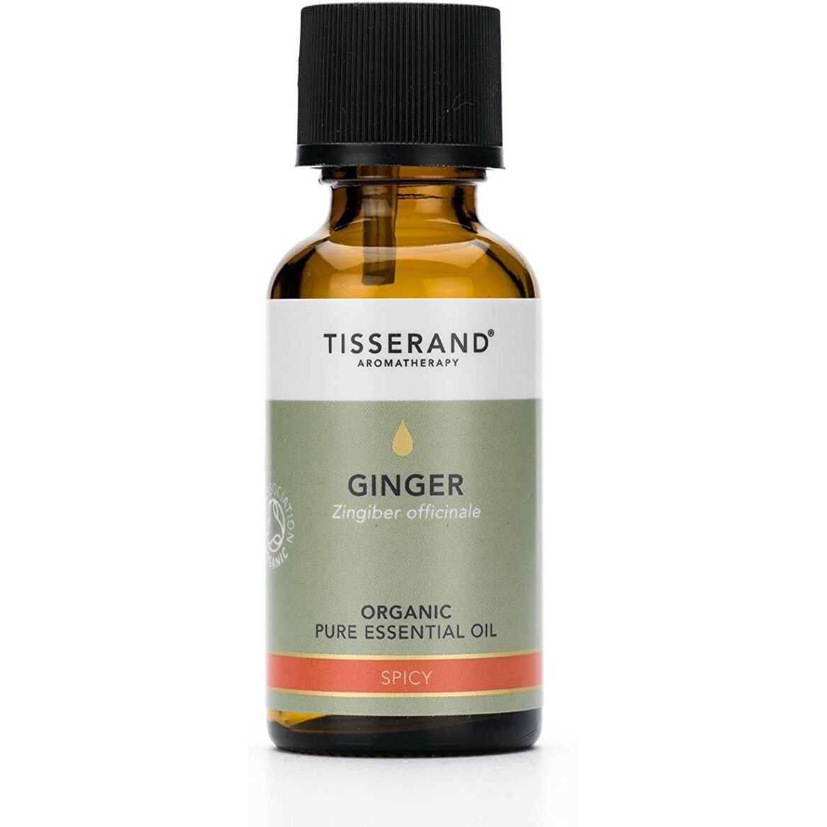 TISSERAND AROMATHERAPY Ginger Organic Oil (30 ml / 1 fl. oz.) - Viking Supplements