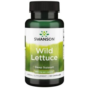 Laitue sauvage