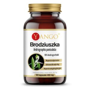 YANGO Andrographis paniculata (90 gélules) - Viking Supplements