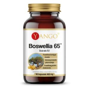 YANGO Boswellia 65 (90 gélules) - Viking Supplements