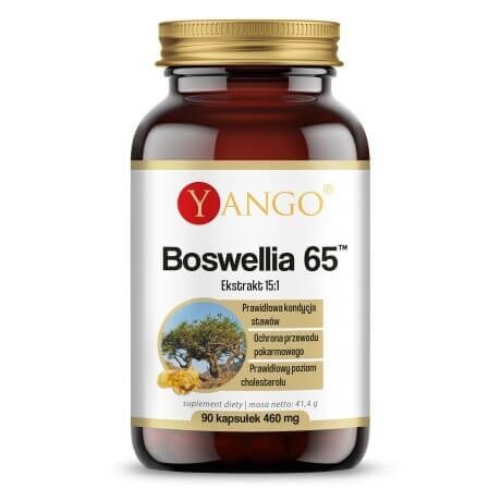 YANGO Boswellia 65 (90 gélules) - Viking Supplements