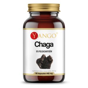 YANGO Chaga - 10% (90 gélules) - Viking Supplements