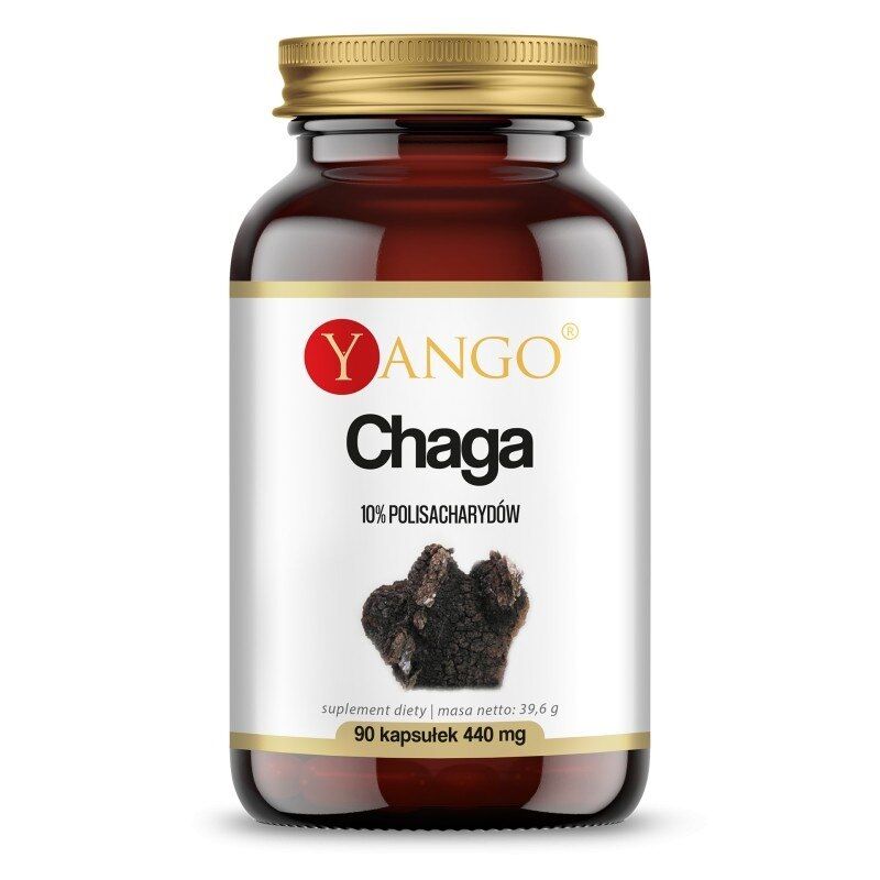 YANGO Chaga - 10% (90 gélules) - Viking Supplements