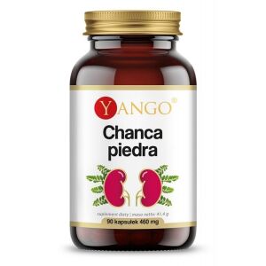 YANGO Chanca piedra (90 gélules) - Viking Supplements