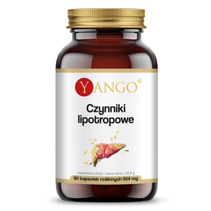 YANGO Facteurs lipotropiques (90 gélules) - Viking Supplements