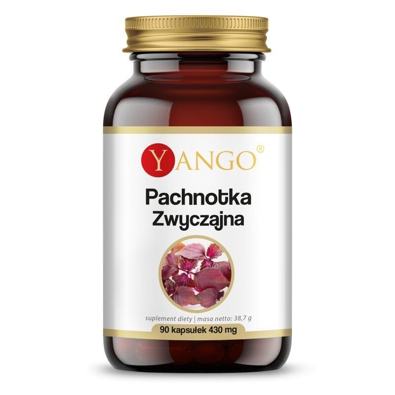 YANGO Perilla frutescens (90 gélules) - Viking Supplements