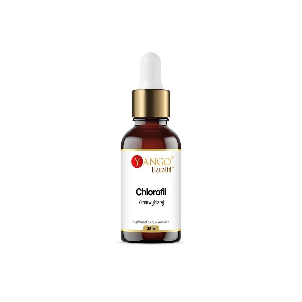 YANGO Chlorophylle de mûrier blanc en gouttes (30 ml / 1 fl. oz.) - Viking Supplements